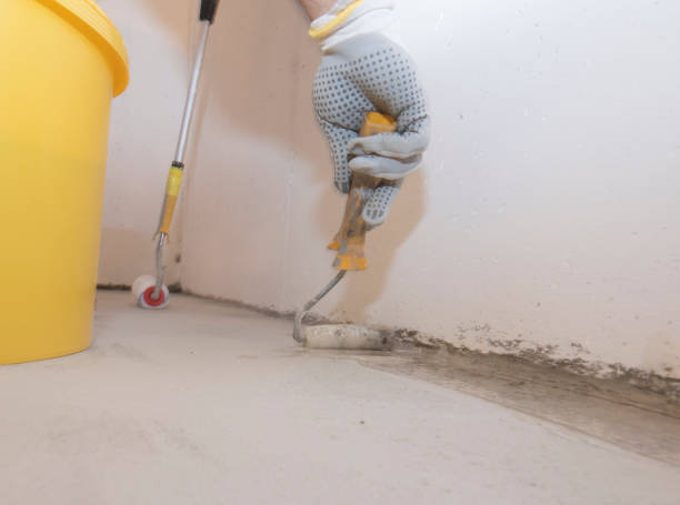 Best Pest Control for Multi-Family Homes  in Dunthpe, OR